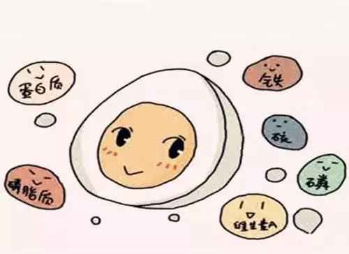 鸡蛋是孕期理想的蛋白质来源，但不是越多越好