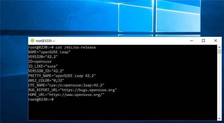 微软 Win10 可直接运行 Linux GUI 应用