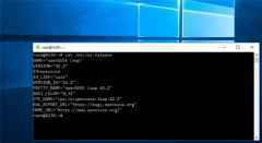 微软 Win10 可直接运行 Linux GUI 应用