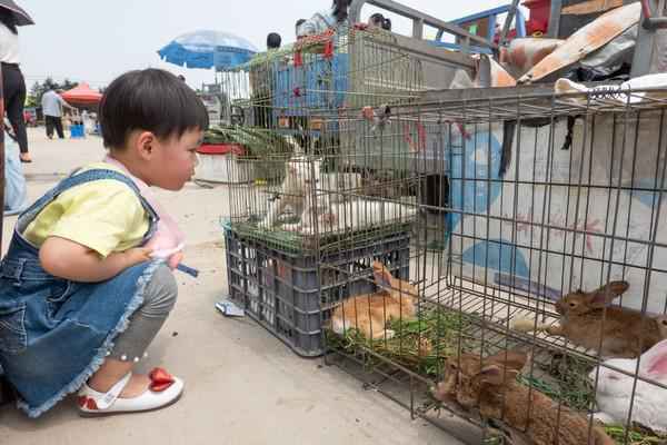 营口硬核集市，地摊经济的典范，逛一次堪比逛大商场