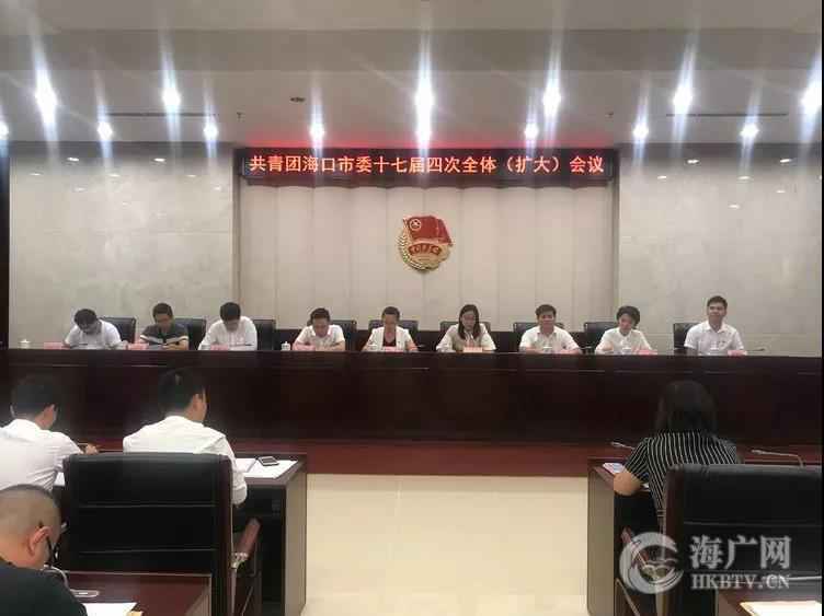 共青团海口市委十七届四次全体(扩大)会议召开