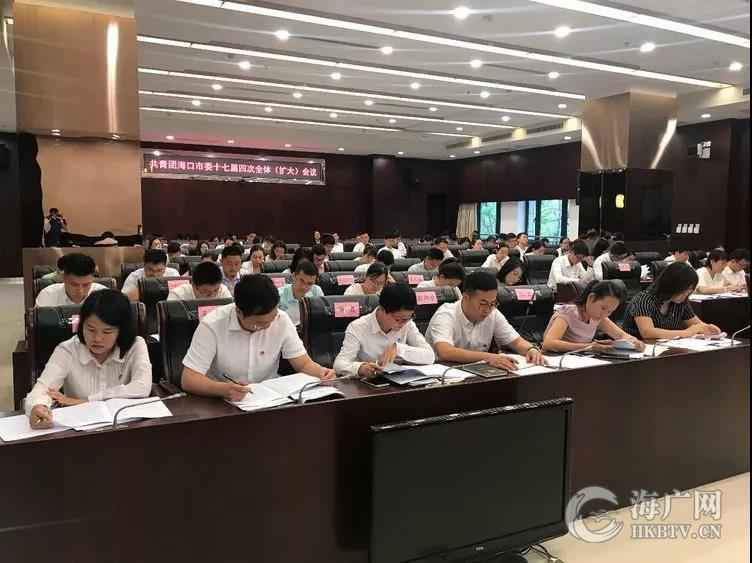 共青团海口市委十七届四次全体(扩大)会议召开