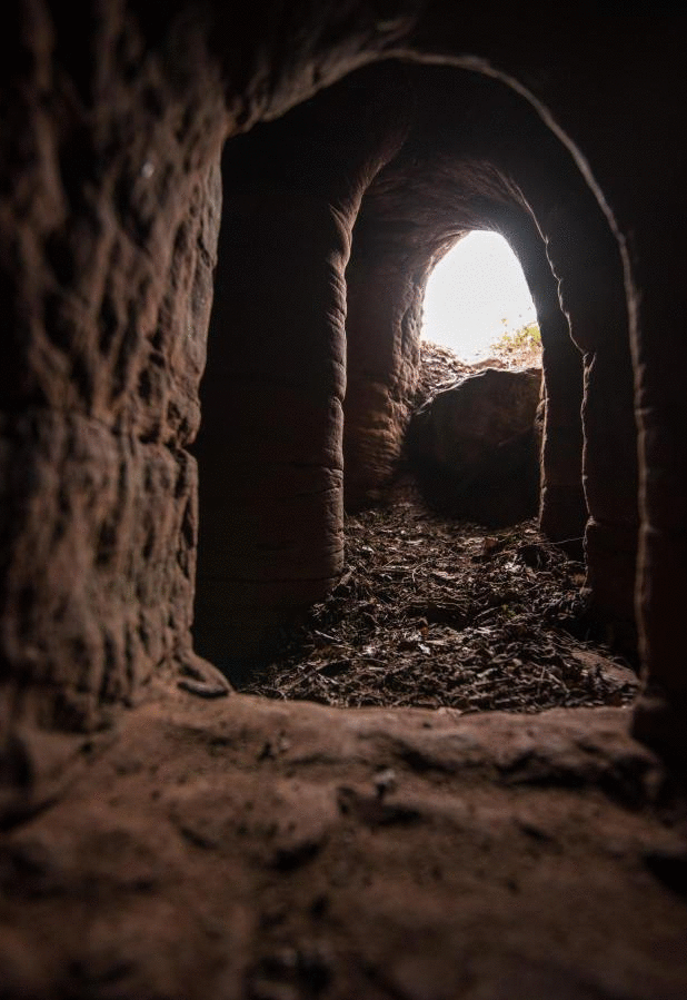 别有洞天:兔子洞竟然通往700年前文化遗址