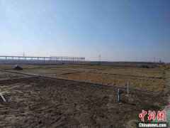 袁隆平海水稻团队表示:今年耐盐碱水稻面积预计达百万亩