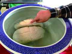 老人清理枣树挖出雪白太岁 有人出价50万买走