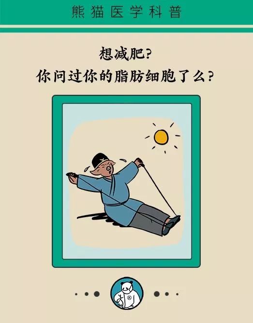 节食减肥？运动减肥？不做好这两点，都白减