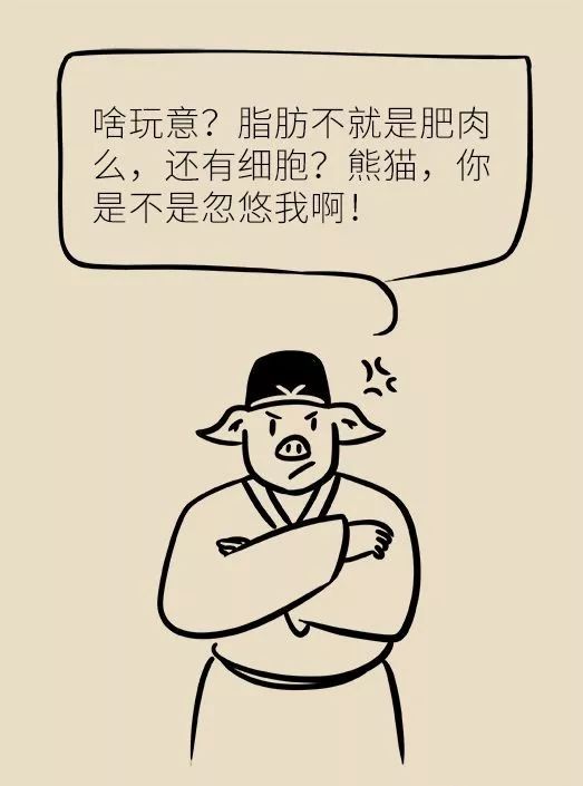节食减肥？运动减肥？不做好这两点，都白减