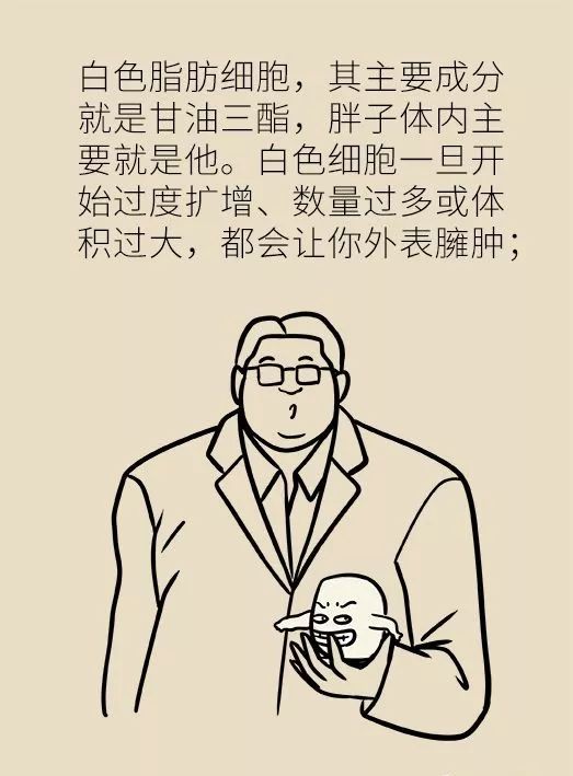 节食减肥？运动减肥？不做好这两点，都白减