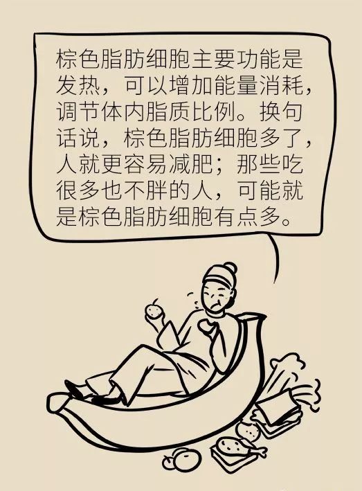 节食减肥？运动减肥？不做好这两点，都白减