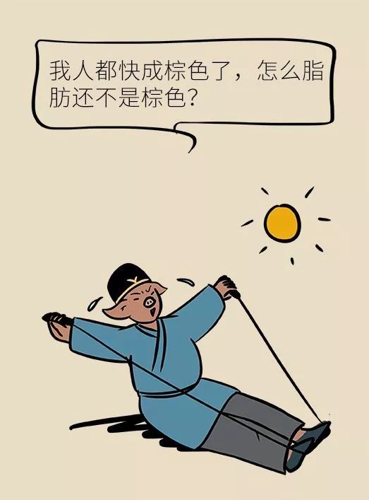 节食减肥？运动减肥？不做好这两点，都白减